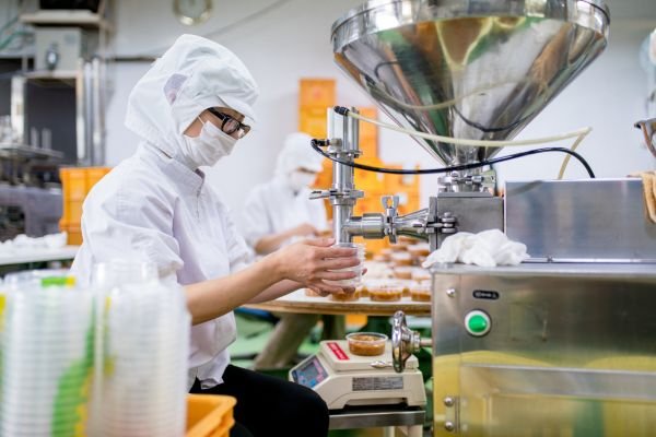Food processing equipment
