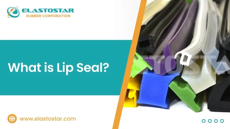 What is Lip Seal