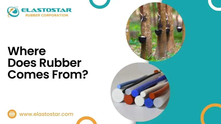 Where Does Rubber Comes From